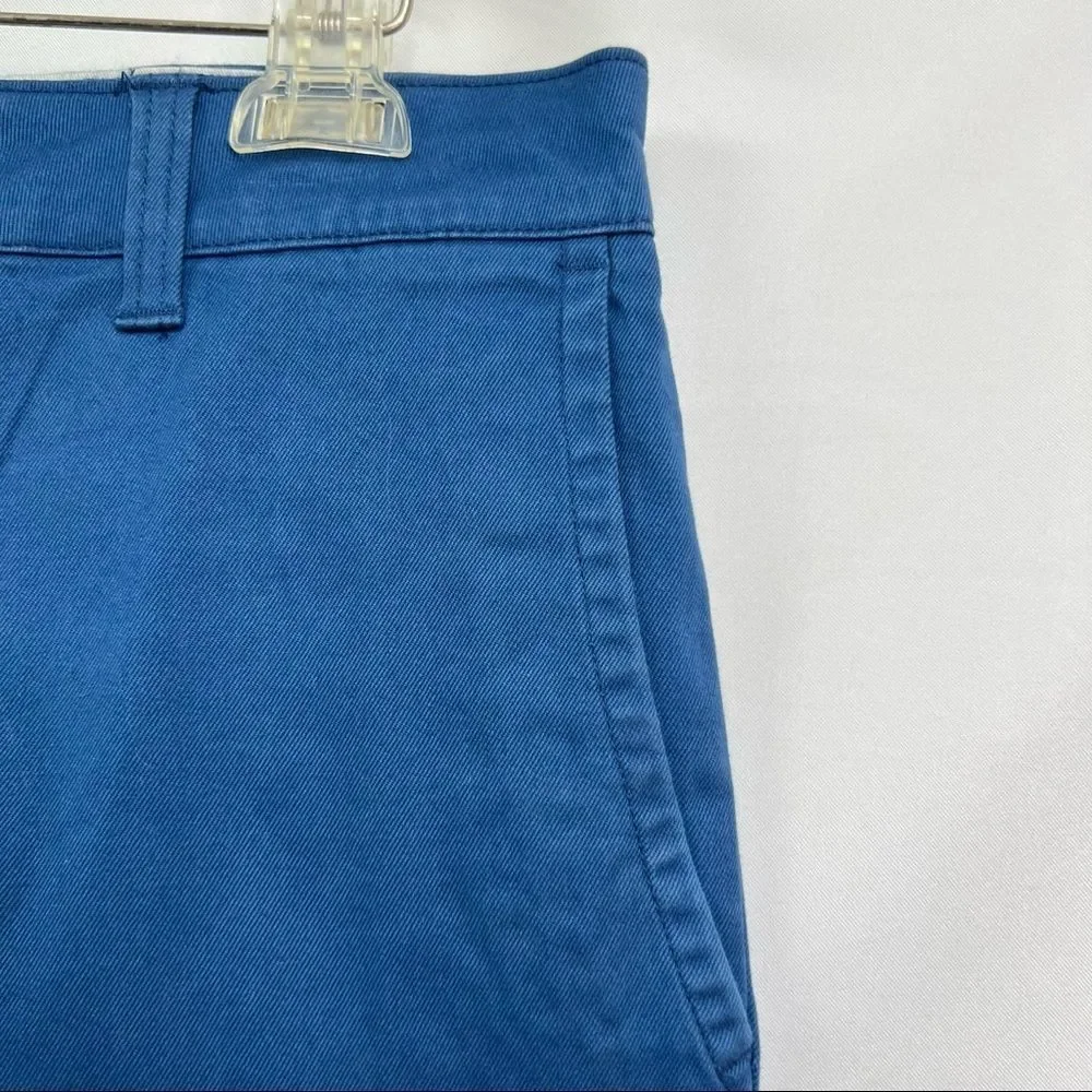 American Eagle Blue Flat Front Shorts Brand New!